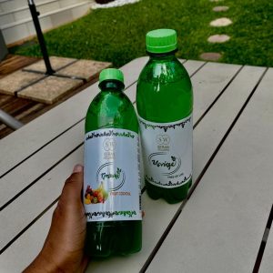Kombucha Ginger<br/>x24 (500ml)