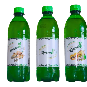 Kombucha Green Tea<br/>x24 (500ml)