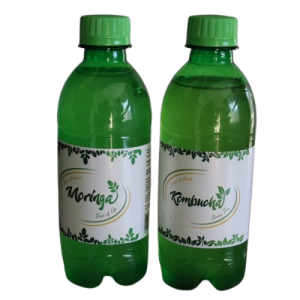 Kombucha Green Tea<br/>x24 (340ml)